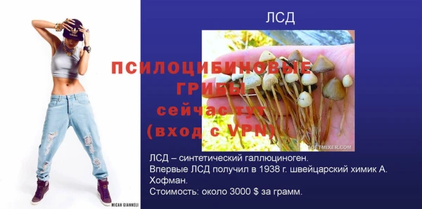 молекула духа Балабаново