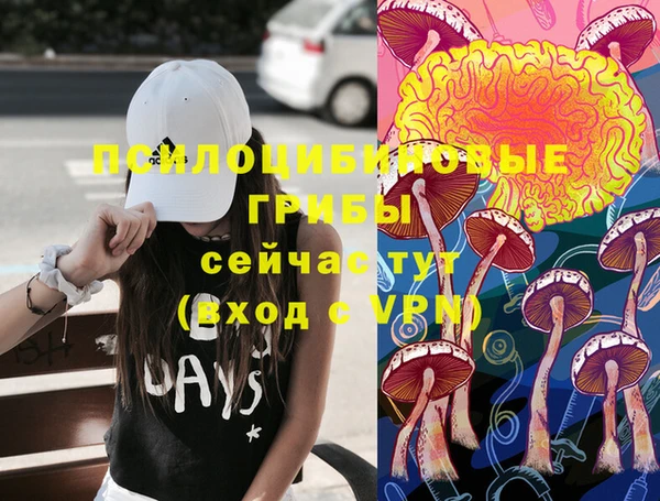 трава Балахна