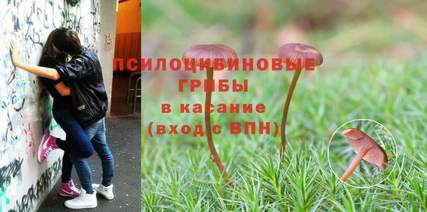 молекула духа Балабаново