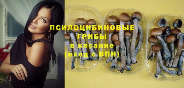 молекула духа Балабаново