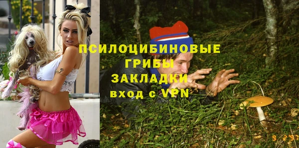 трава Балахна