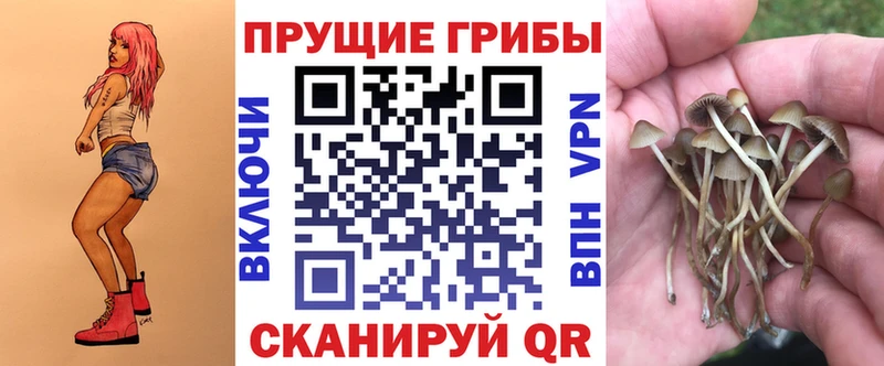 Галлюциногенные грибы Magic Shrooms  Козельск 